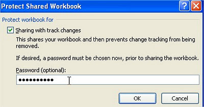 Excel how to protect Excel file Protect Shared Workbook password